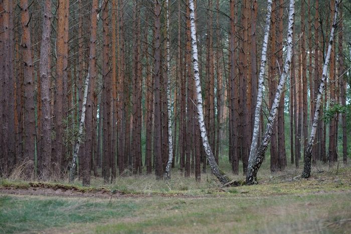 Recreatie gebied ’t Hilgelo