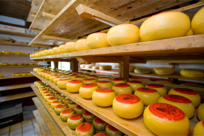 Kaas Boerderij en Pannenkoekenherberg de Harmienhoeve